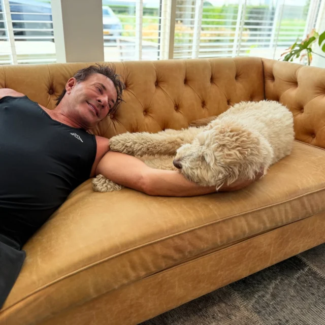 Lekker even afkoelen op kantoor met @buddy.labradoodle 

#gerardjoling #labradoodle