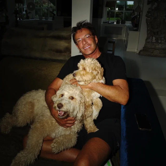 Gezellig een avondje film kijken met mijn honden vrienden ❤️ #gerardjoling #labradoodle